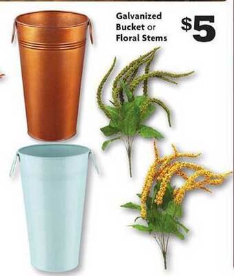 Family Dollar Galvanized bucket or floral stems offer