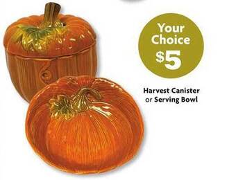 Family Dollar Harvest canister or serving bowl offer