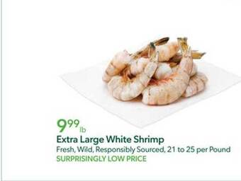 Publix Extra large white shrimp offer
