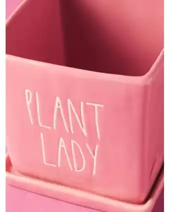 Home Goods 6in ceramic plant lady planter offer