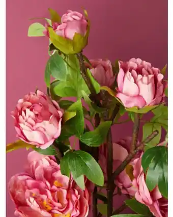 Home Goods 27in artificial peony arrangement in ceramic pot offer