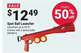 Ace Hardware Spot ball launcher offer