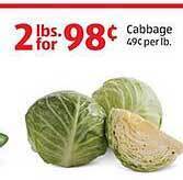 Aldi Cabbage offer
