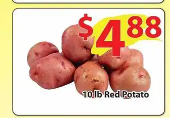 10lb red potato