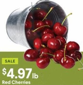 Red Cherries