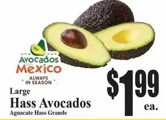 Baja Ranch Larga hass avocados offer