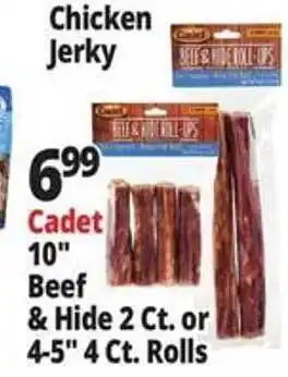 Ocean State Job Lot Chicken jerky, 10 offer