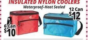 Ocean State Job Lot Insulated nylon coolers offer