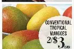 Conventional tropical mangoes