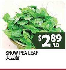 99 Ranch Snow pea leaf offer
