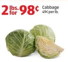 Aldi Cabbage offer