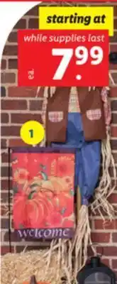 Lidl Fall garden flag poles offer