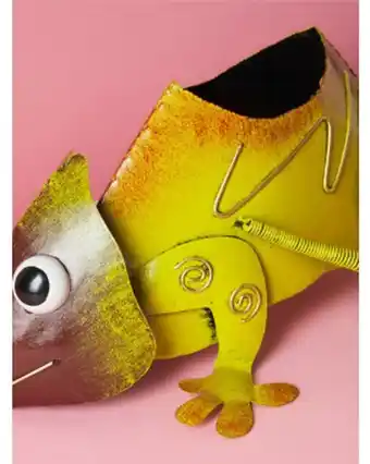 Home Goods 16in chameleon planter offer