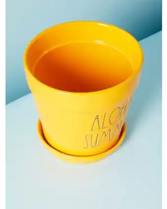Home Goods 7in ceramic aloha summer planter with saucer offer