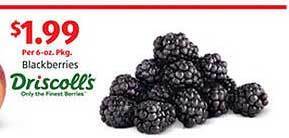 Aldi Blackberries offer