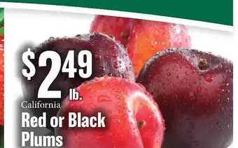 Red or black plums