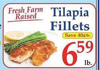 Market Basket Tilapia fillets offer