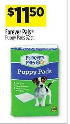 Dollar General Forever pals puppy pads offer