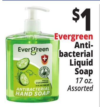 Ocean State Job Lot Evergreen anti-bacterial liquid soap offer