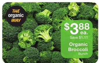 Fairway Store Market Organic broccoli offer