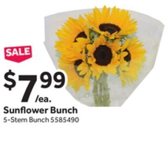 Stop&Shop Sunflower bunch offer