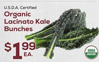 DeCicco & Sons Lacinato kale bunches offer