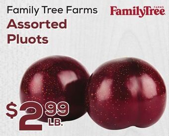DeCicco & Sons Family tree farms assorted pluots offer