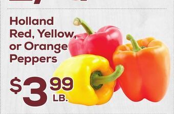 DeCicco & Sons Holland red, yellow, or orange peppers offer