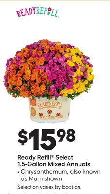 Lowe's Ready refill® select 1.5-gallon mixed annuals offer
