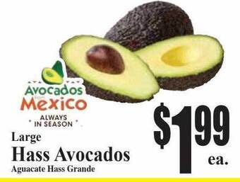 Baja Ranch Large hass avocados offer