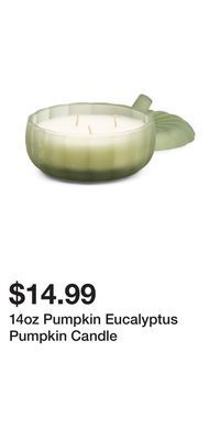 TJ Maxx 14oz pumpkin eucalyptus pumpkin candle offer
