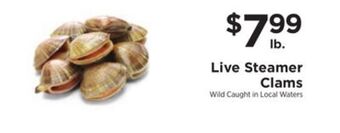 ShopRite Live steamer clams offer