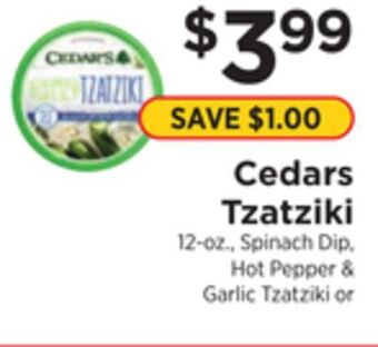 ShopRite Tzatziki offer