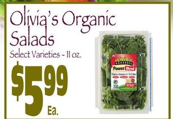 Wild By Nature Olivia's organic salads offer