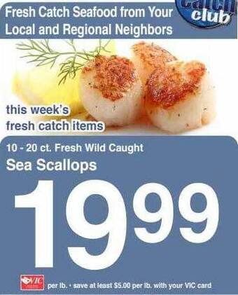 Harris Teeter Sea scallops offer