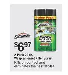 The Home Depot Wasp & hornet killer spray offer