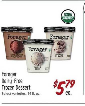 Sprouts Farmers Market Forager dairy-free frozen dessert offer