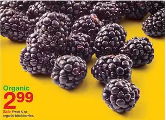 Target Freshh organic blackberries offer