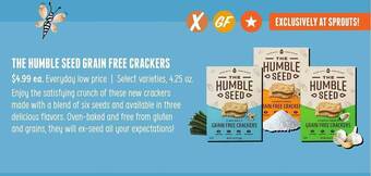 The humble seed grain free crackers
