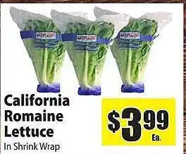 California romaine lettuce