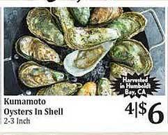 Rosauers Kumamoto oysters in shell offer