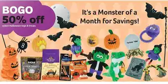 Halloween toys & treats