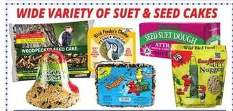 Ocean State Job Lot Wide variety of suet & seed cakes offer