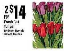Big Y Fresh cut tulips offer