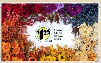Dollar Tree Assorted artificial fall floral bushes offer