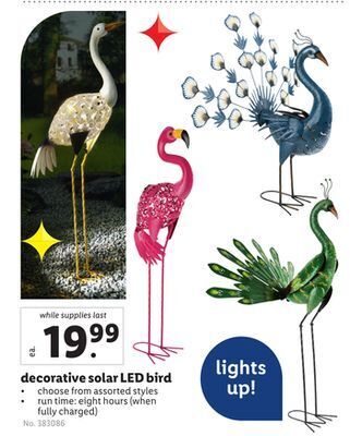 Lidl Decorative solar led bird offer