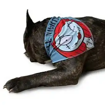 Kohl's Disney's the nightmare before christmas sally pet bandana offer