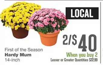 Forest Hills Food Hardy mum offer