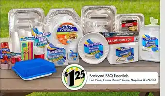 Dollar Tree Backyard bbq essentials offer
