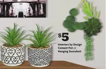 Family Dollar Interiors by design cement pot or hanging succulent offer